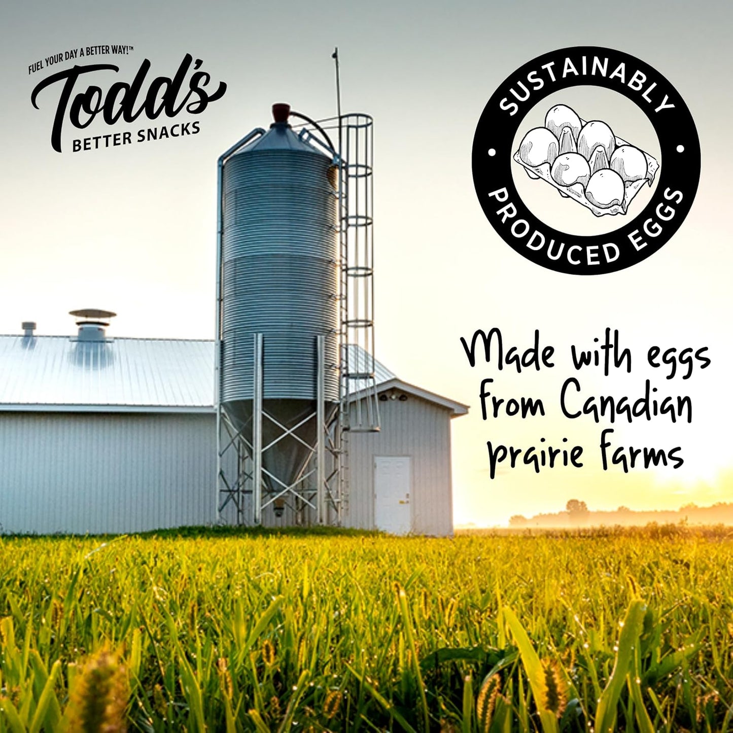 Sour Cream & Onion Protein Puffs